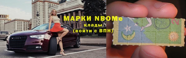 индика Заволжье