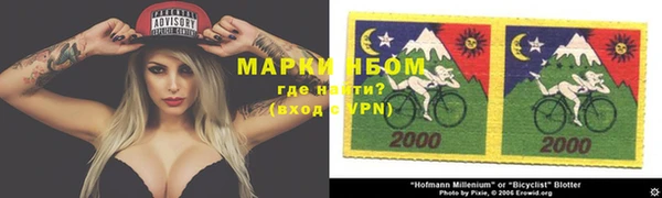 индика Заволжье