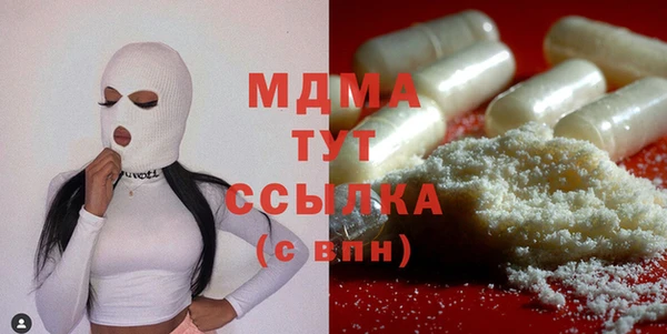 индика Заволжье