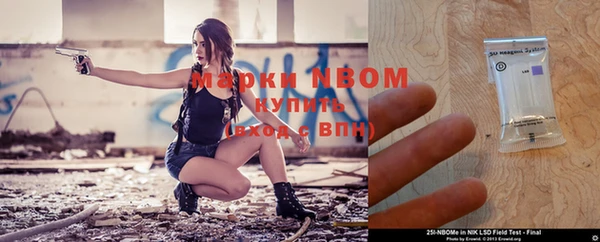 индика Заволжье