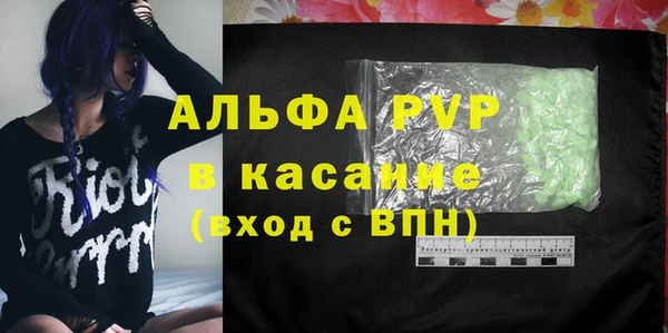 индика Заволжье