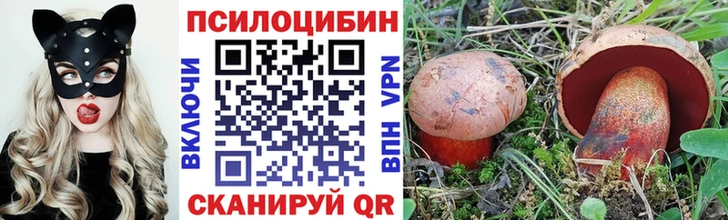 Галлюциногенные грибы MAGIC MUSHROOMS  blacksprut как зайти  Калач  цена наркотик 